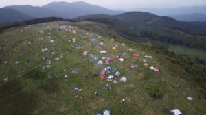 max patch cleanup